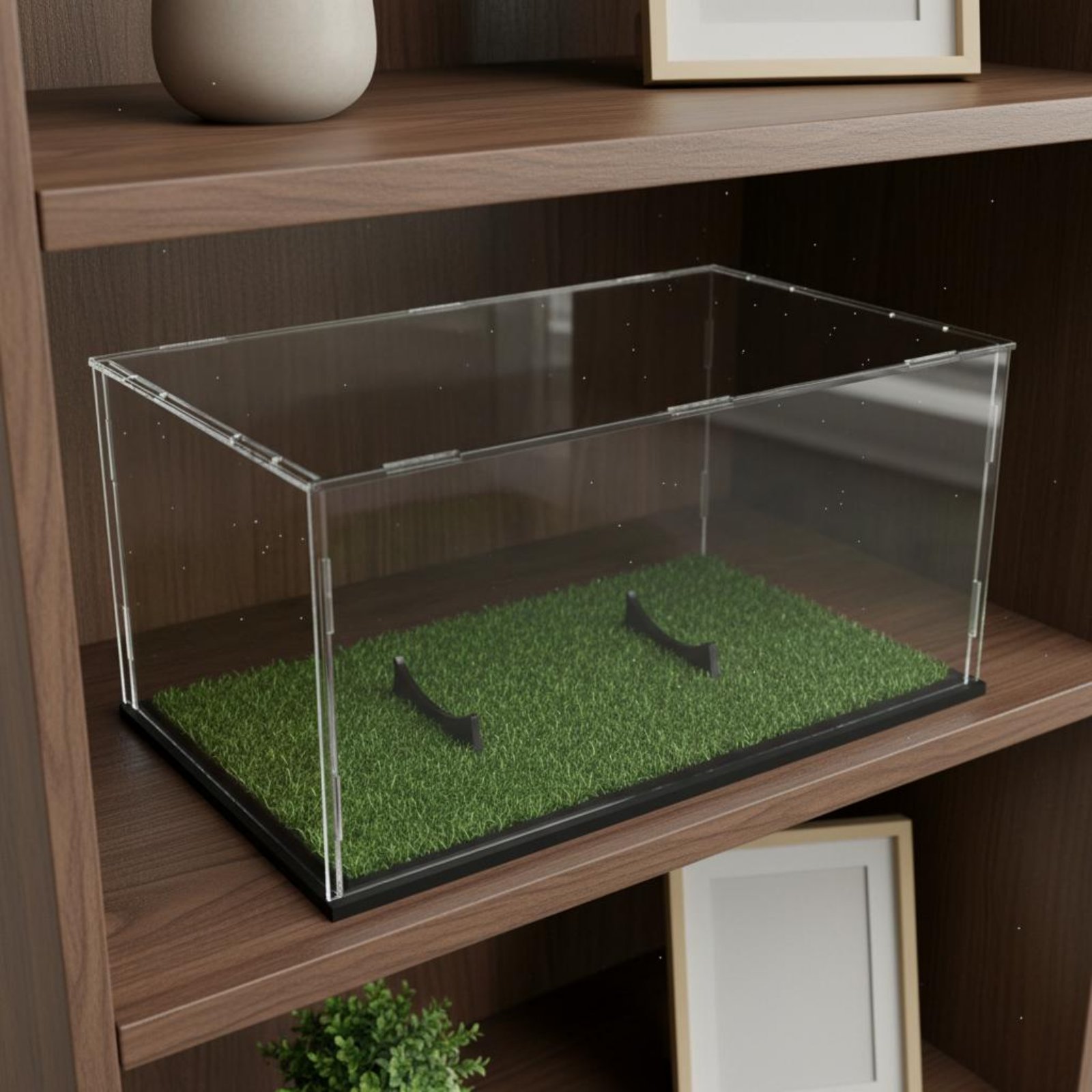 Acrylic Prolate Spheroid Box D – Display Case Acrylic recenzja i cena