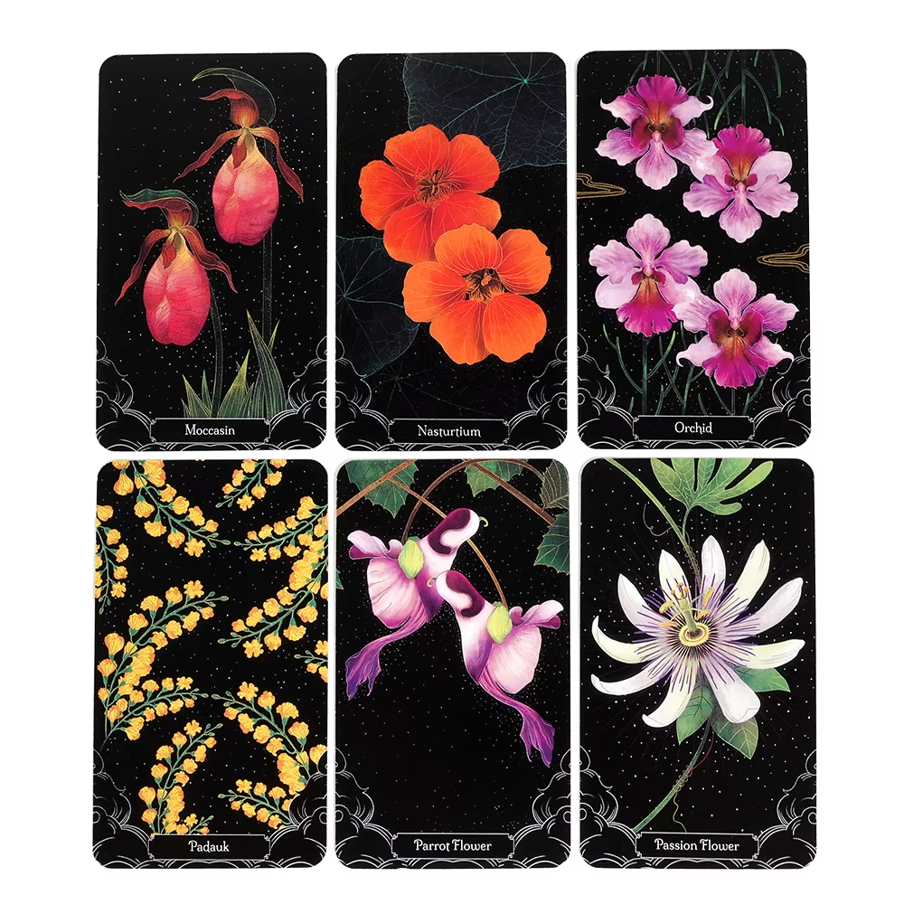 A Little Rain Botanical Oracle – Graded Card Display recenzja i cena